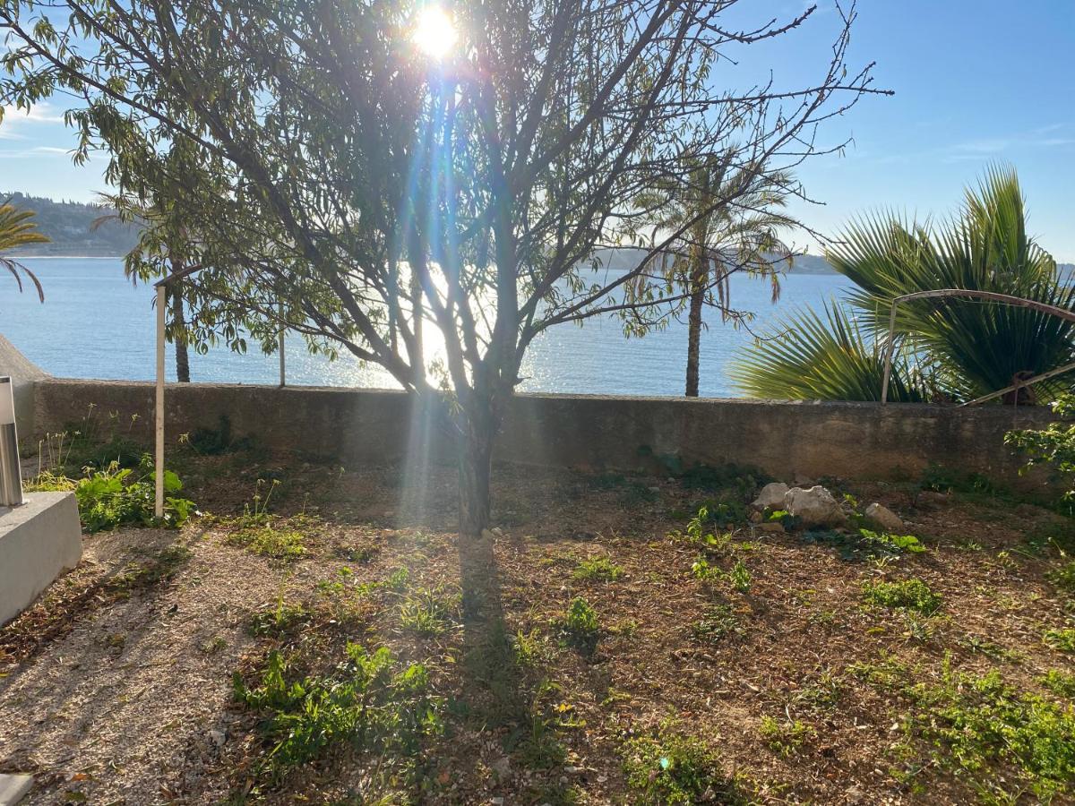 Splendide Studio Miramar Vue Mer Avec Terrasse Bandol Kültér fotó
